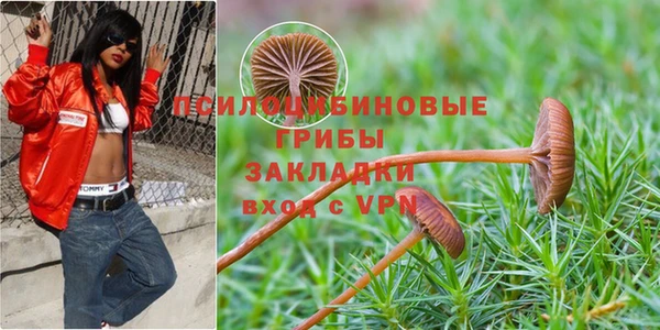 прущий лед Богородск