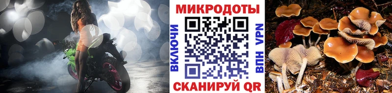 Псилоцибиновые грибы мицелий  Острогожск 